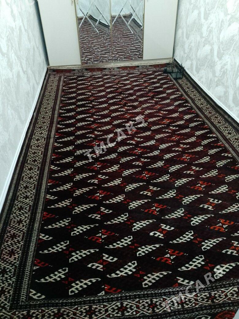 Turkmen Haly - Balkanabat - img 2