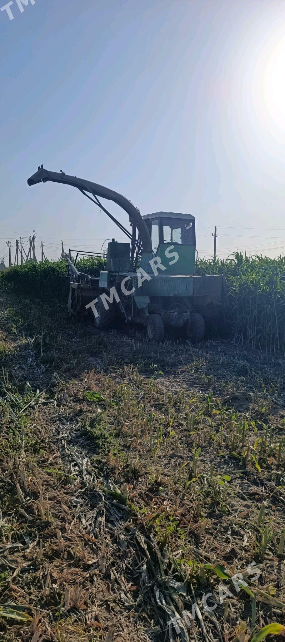 MTZ 80 1994 - 160 000 TMT - Mary - img 2