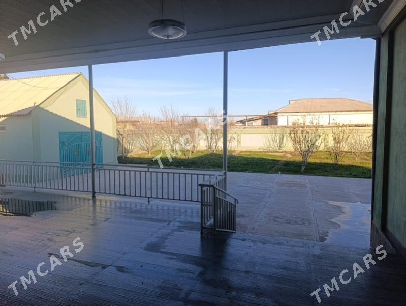 Satlyk Jay - Tejen - img 1