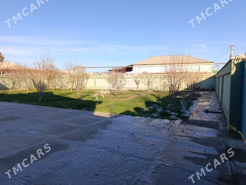 Satlyk Jay - Tejen - img 10