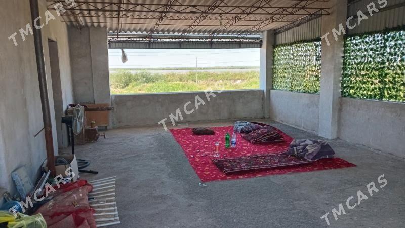 Дача саглык елы. - Туркменабат - img 4