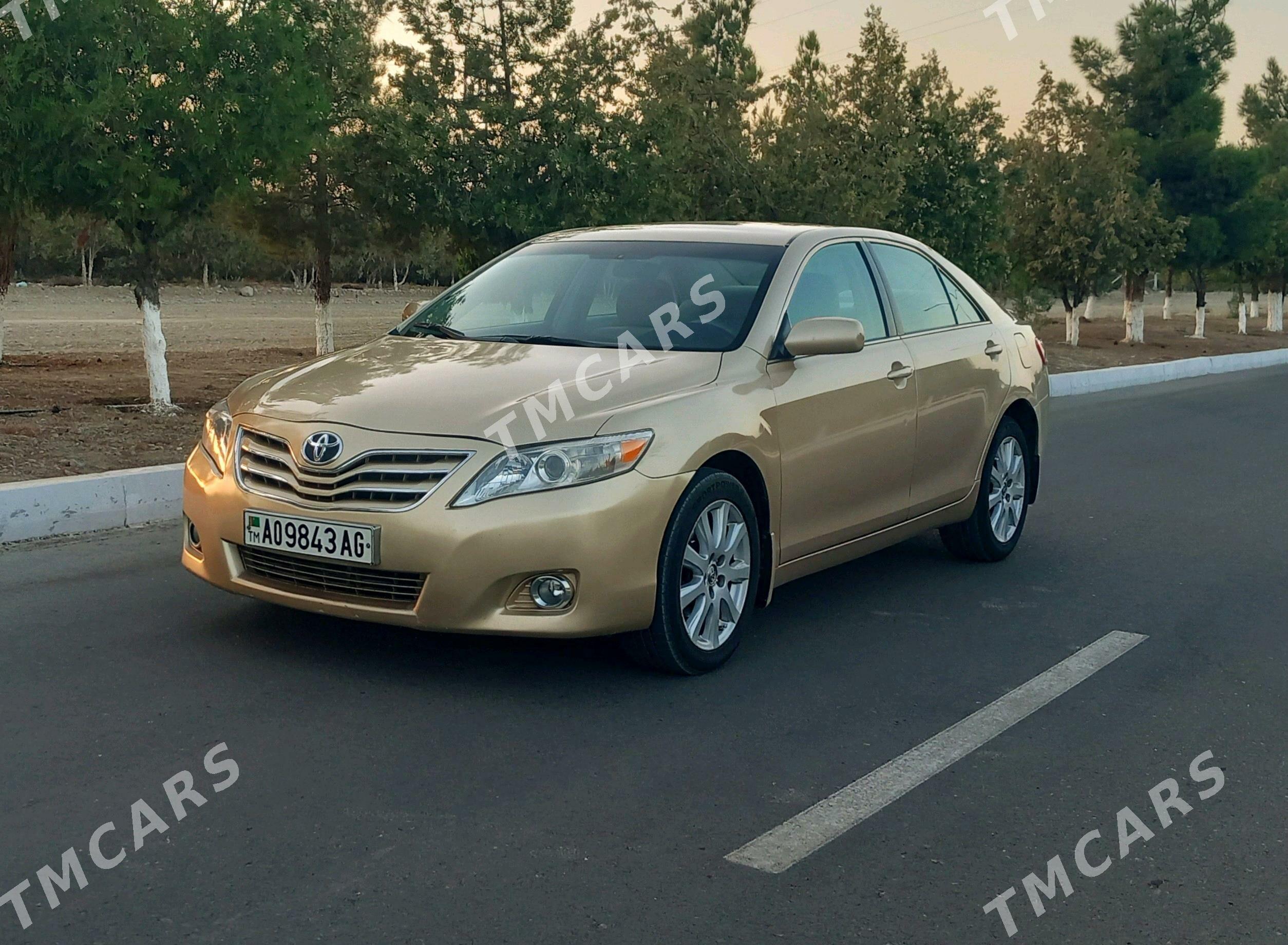 Toyota Camry 2009 - 185 000 TMT - Büzmeýin GRES - img 5