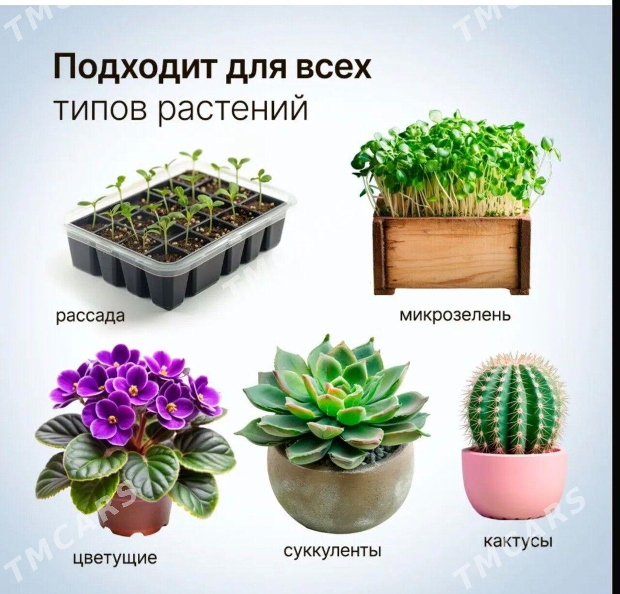 Фитолампа - Ашхабад - img 5