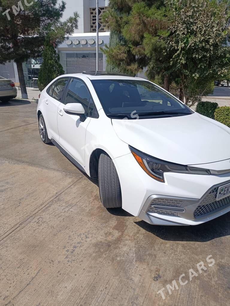 Toyota Corolla 2020 - 305 000 TMT - Мары - img 3