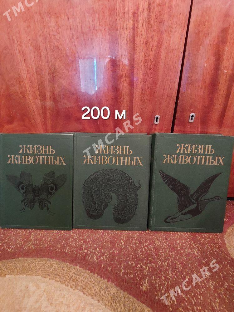 Книги - Ашхабад - img 5