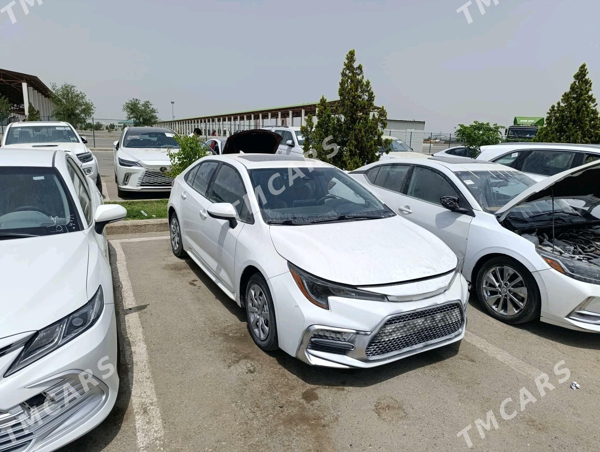 Toyota Corolla 2020 - 224 000 TMT - Aşgabat - img 5
