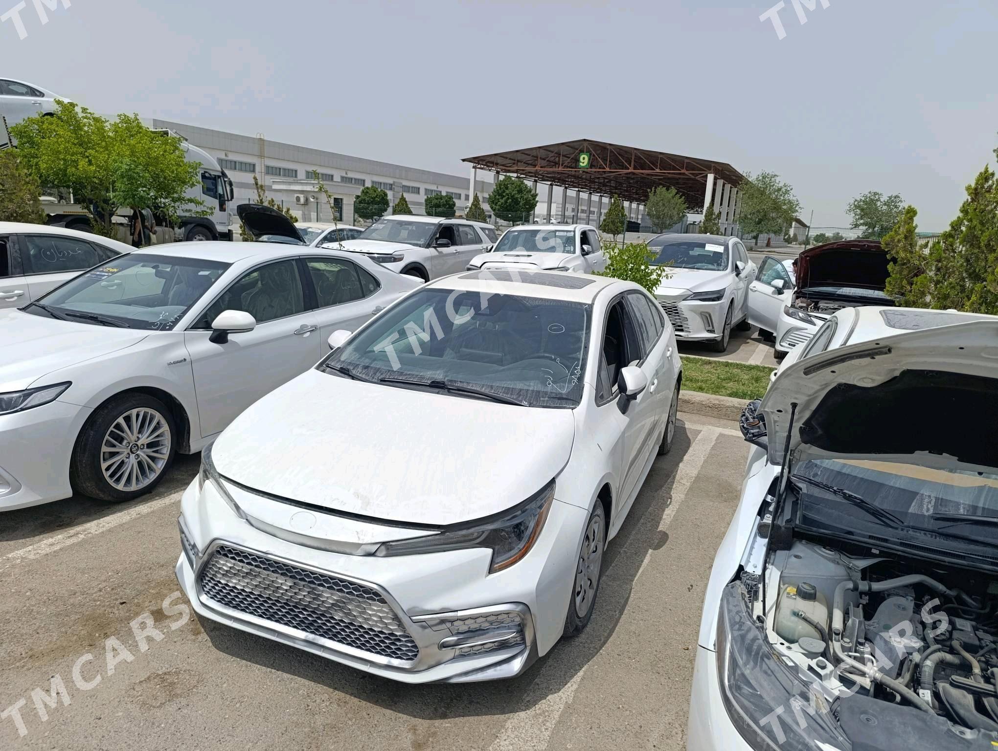 Toyota Corolla 2020 - 224 000 TMT - Aşgabat - img 7