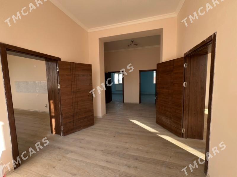 İpıteka jay - Ýolöten - img 2