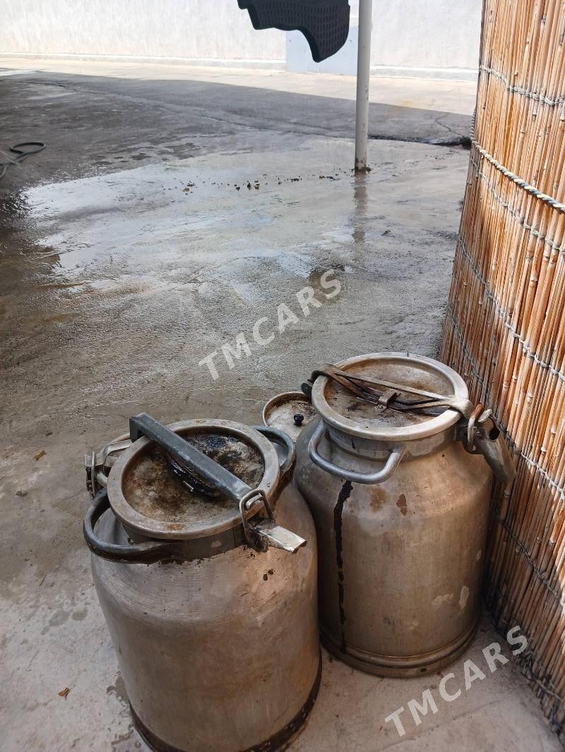 filayaga - Aşgabat - img 2
