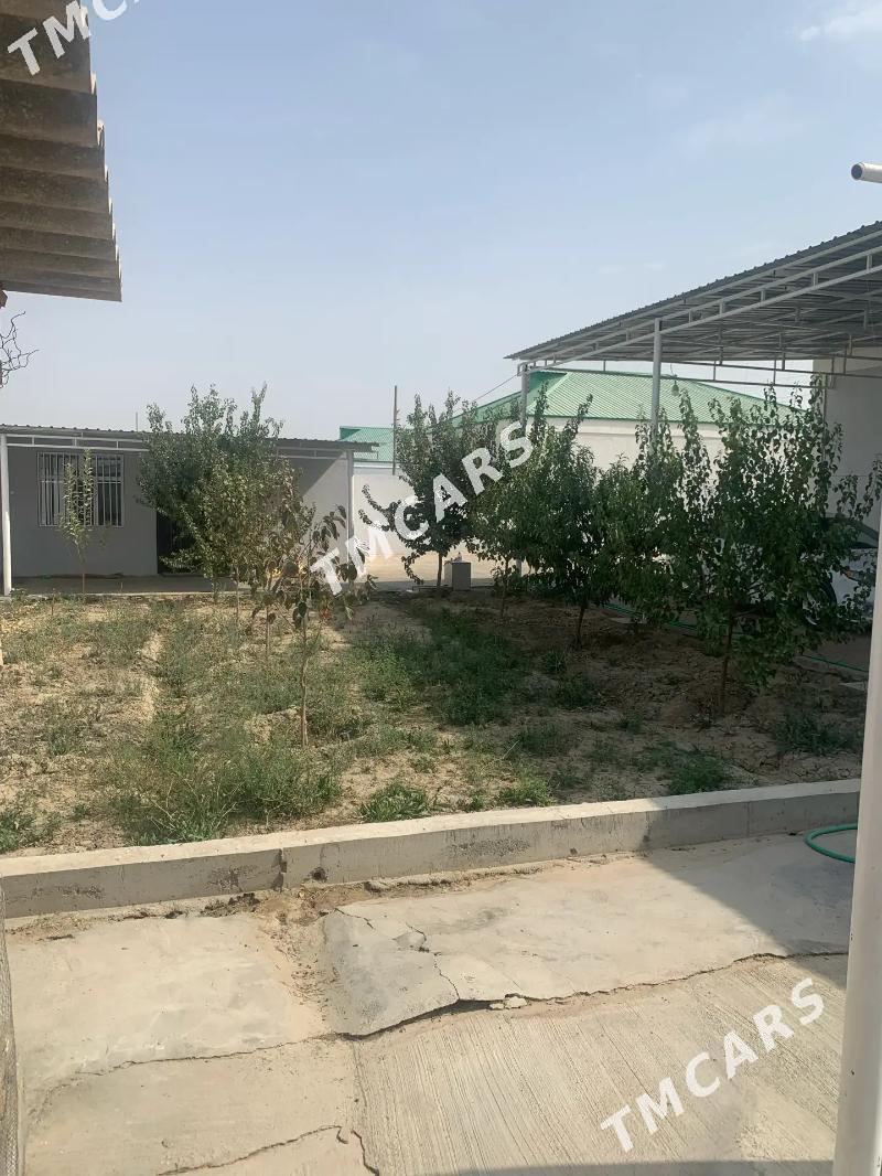 GÕKDEPE 30-ÝYLLYK TÀZE JAÝ - Aşgabat - img 7