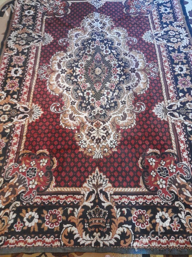 haly - Türkmenbaşy - img 2