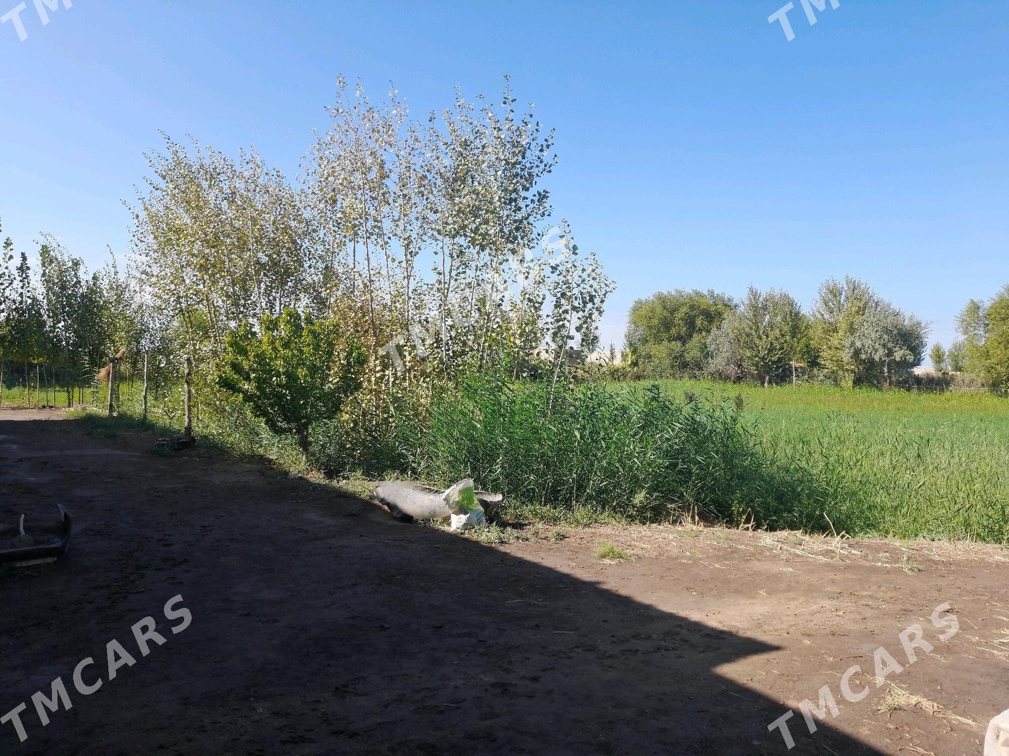 Satlyk Jaý - етр. Туркменбаши - img 7