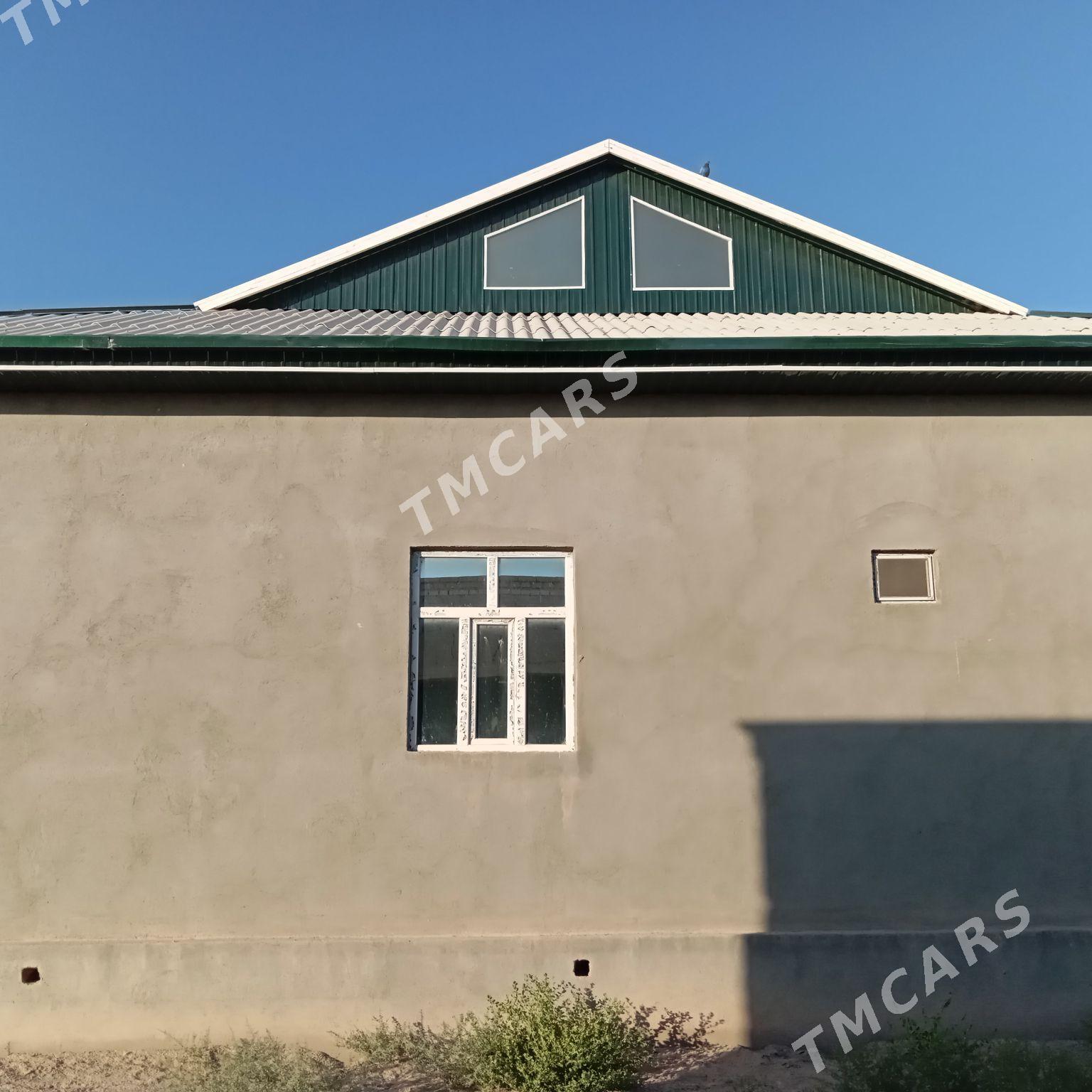 Jay Satlyk - Кёнеургенч - img 3