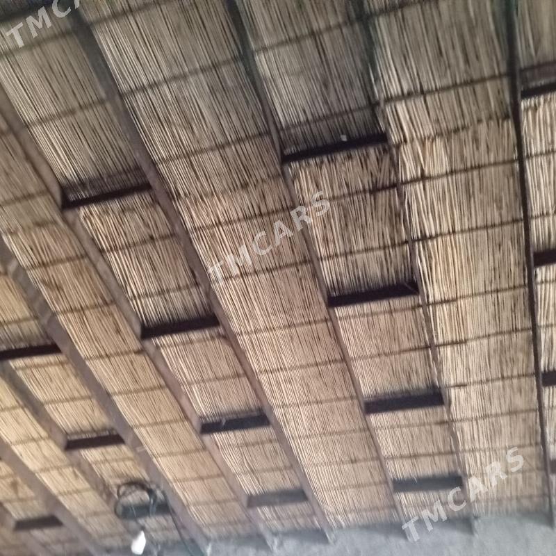 Jay Satlyk - Кёнеургенч - img 5