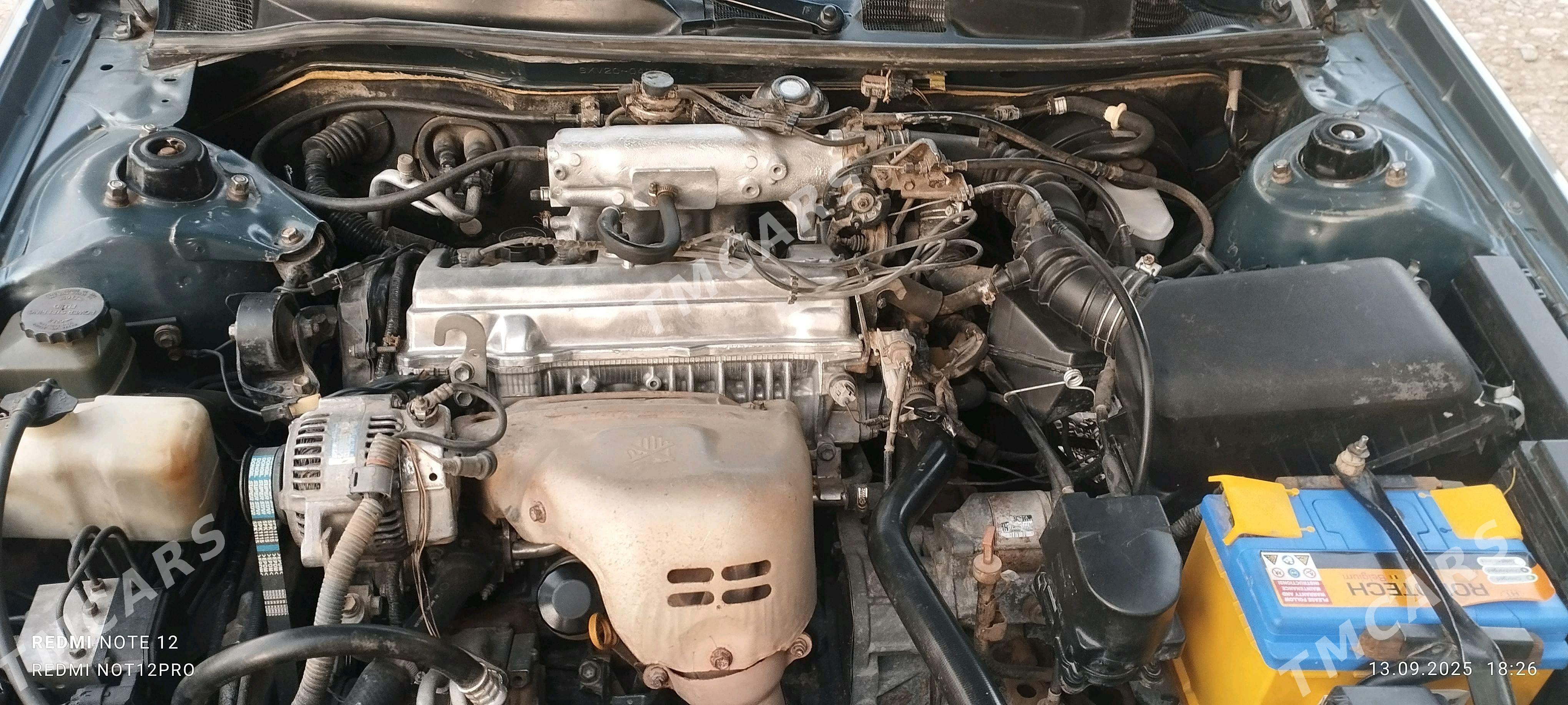 Toyota Camry 2000 - 130 000 TMT - Tagtabazar - img 4