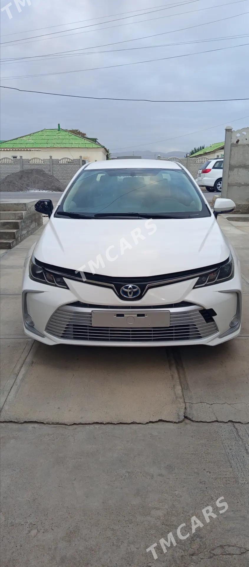 Toyota Corolla Hybrid 2022 - 250 000 TMT - Büzmeýin - img 5