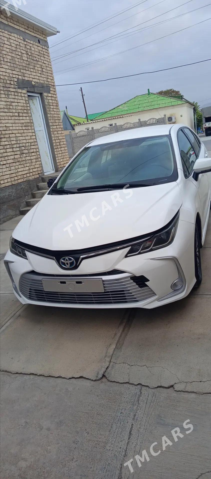 Toyota Corolla Hybrid 2022 - 250 000 TMT - Büzmeýin - img 3