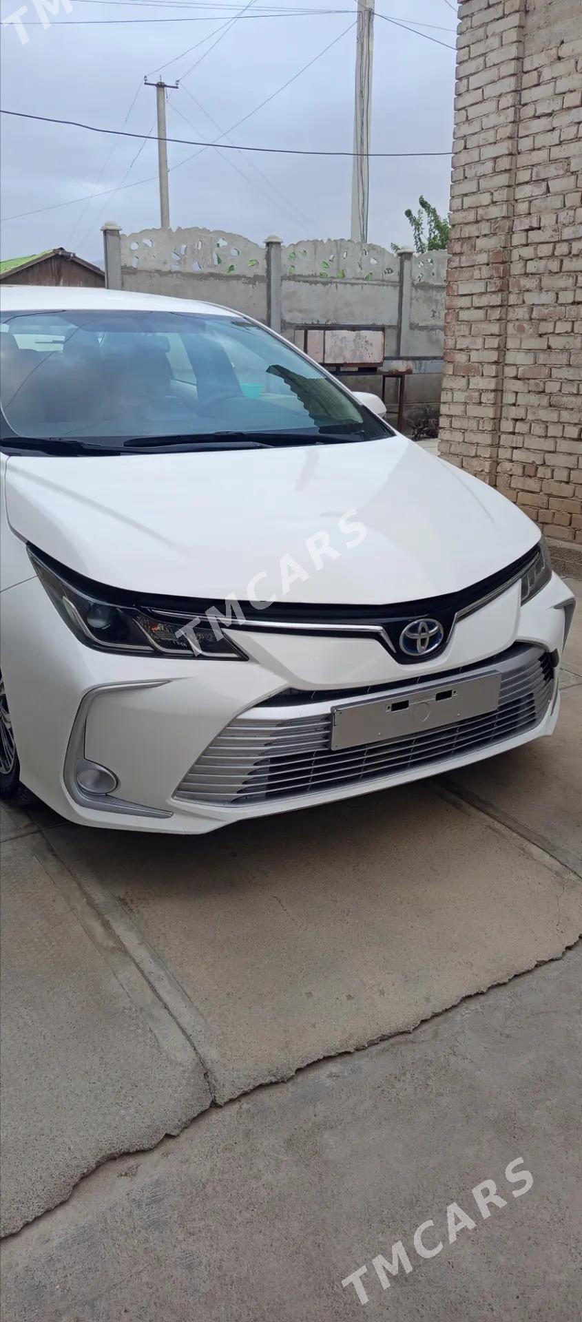 Toyota Corolla Hybrid 2022 - 250 000 TMT - Büzmeýin - img 2