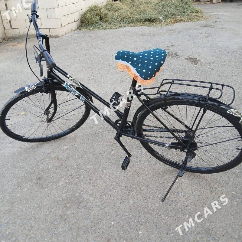 TIGIR - Анев - img 2