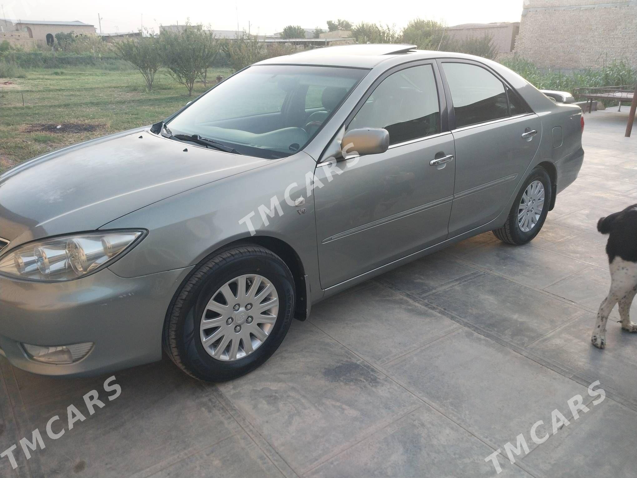 Toyota Camry 2005 - 250 000 TMT - Türkmenabat - img 2