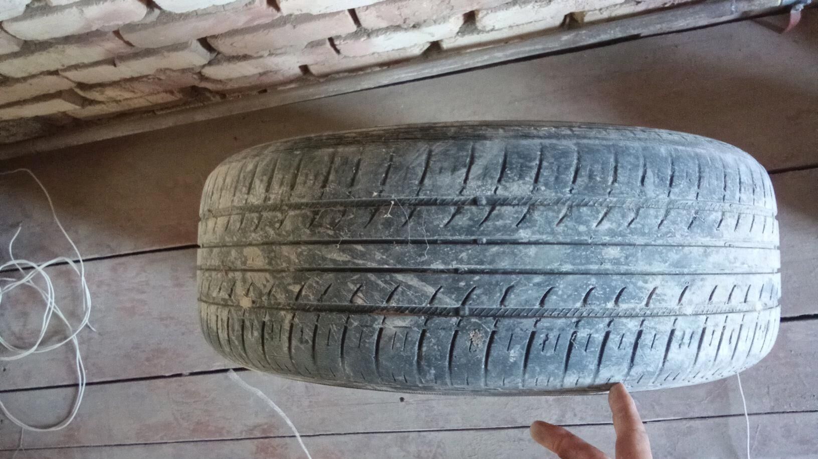 teker 150 TMT - Sakarçäge - img 2