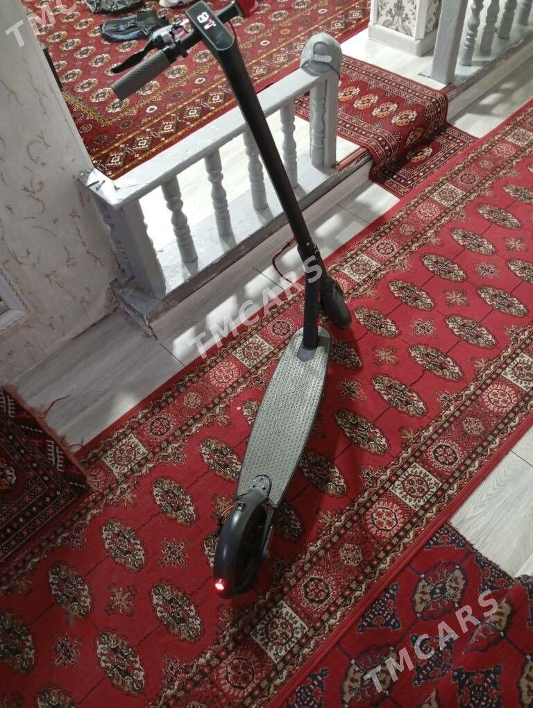 shukuter ki - Дашогуз - img 2