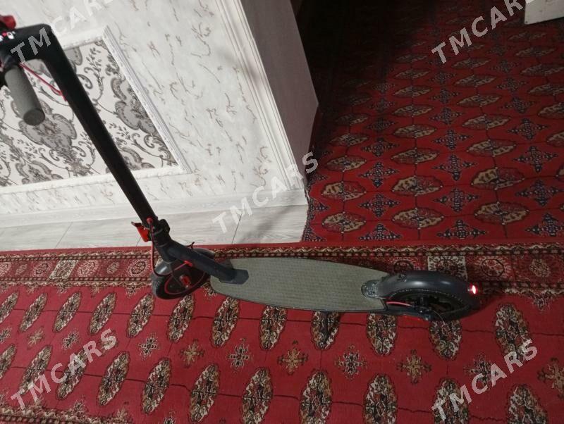 shukuter ki - Дашогуз - img 4
