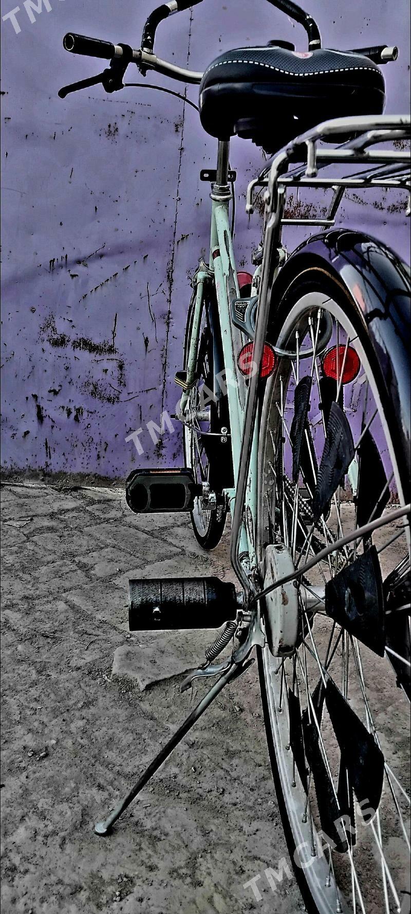Welo 26 - Halaç - img 2