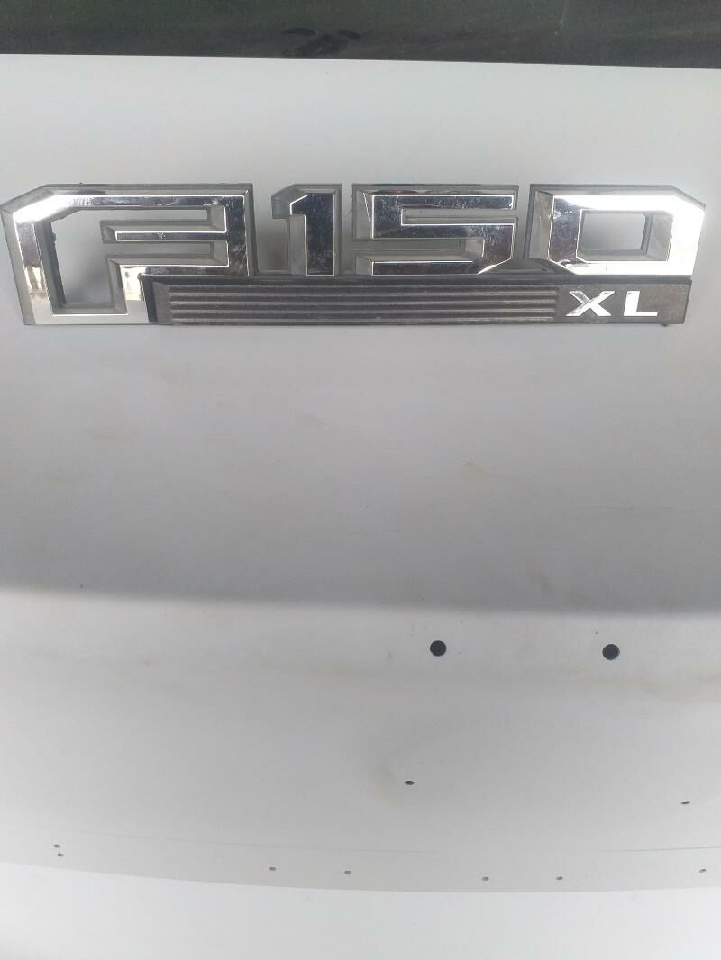 FORT F-150 ZNACOK 200 TMT - Mary - img 1