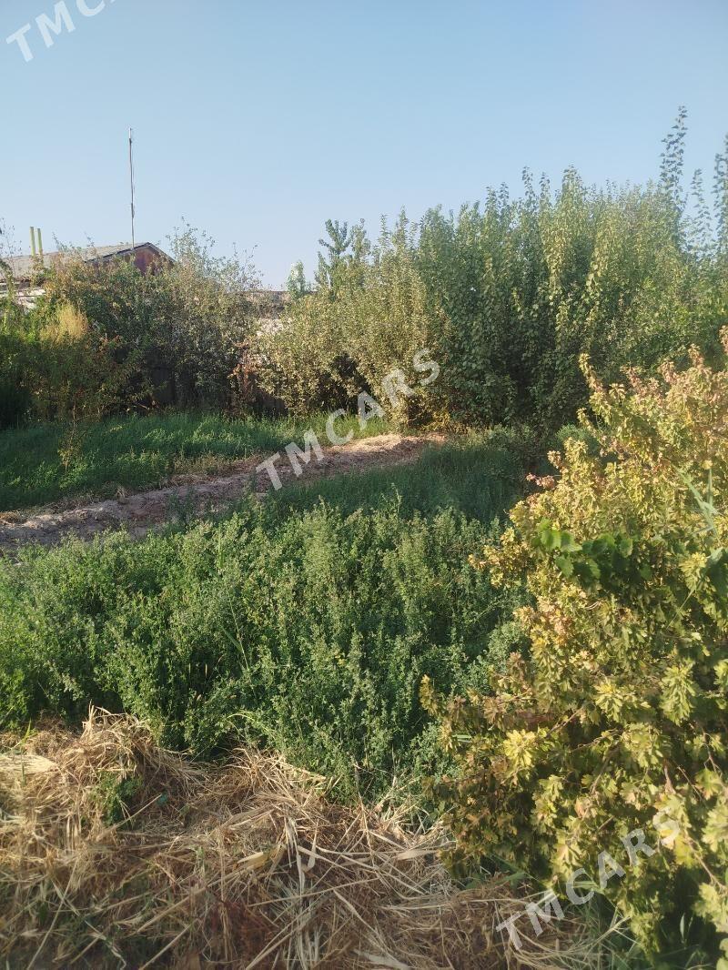 Продаю дачу 7 соток - Туркменабат - img 8