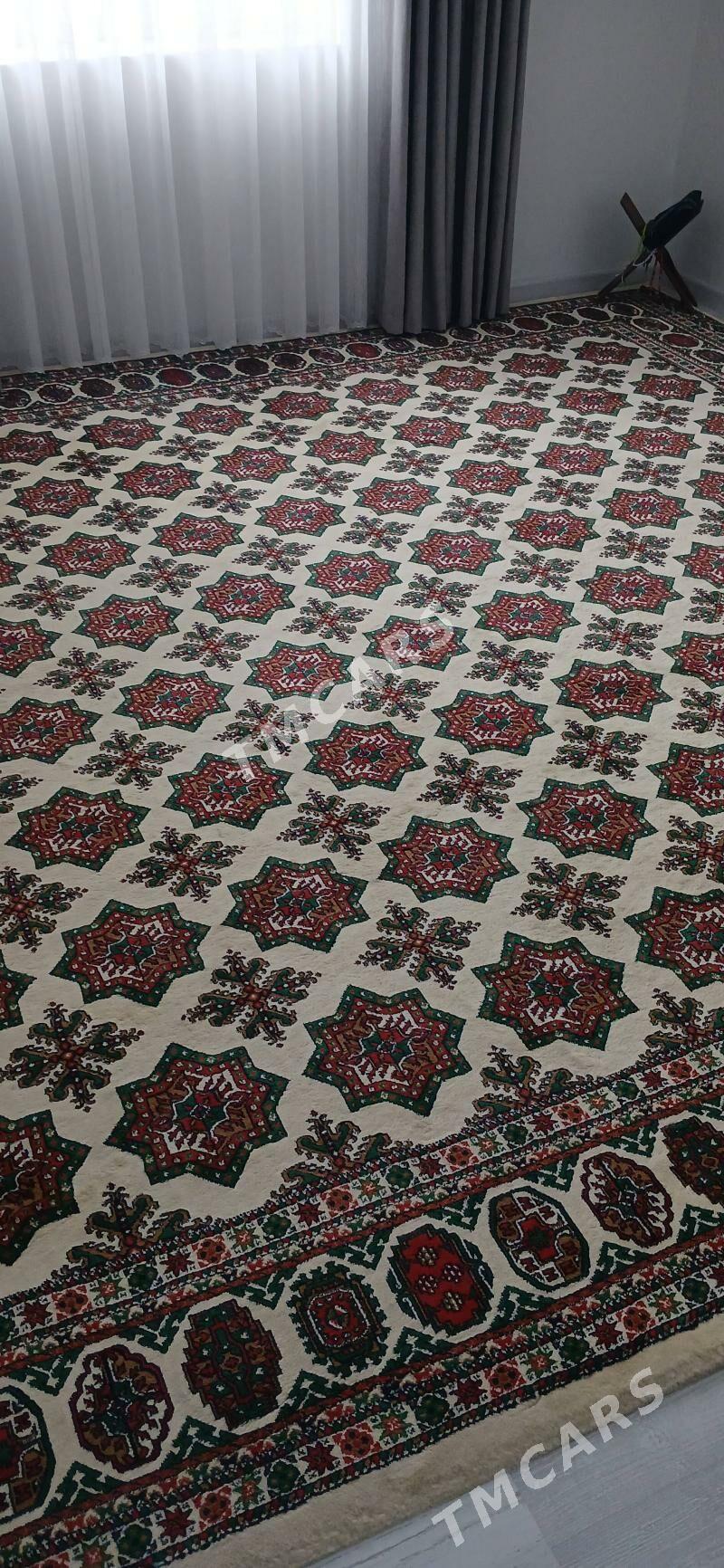 haly - Balkanabat - img 2