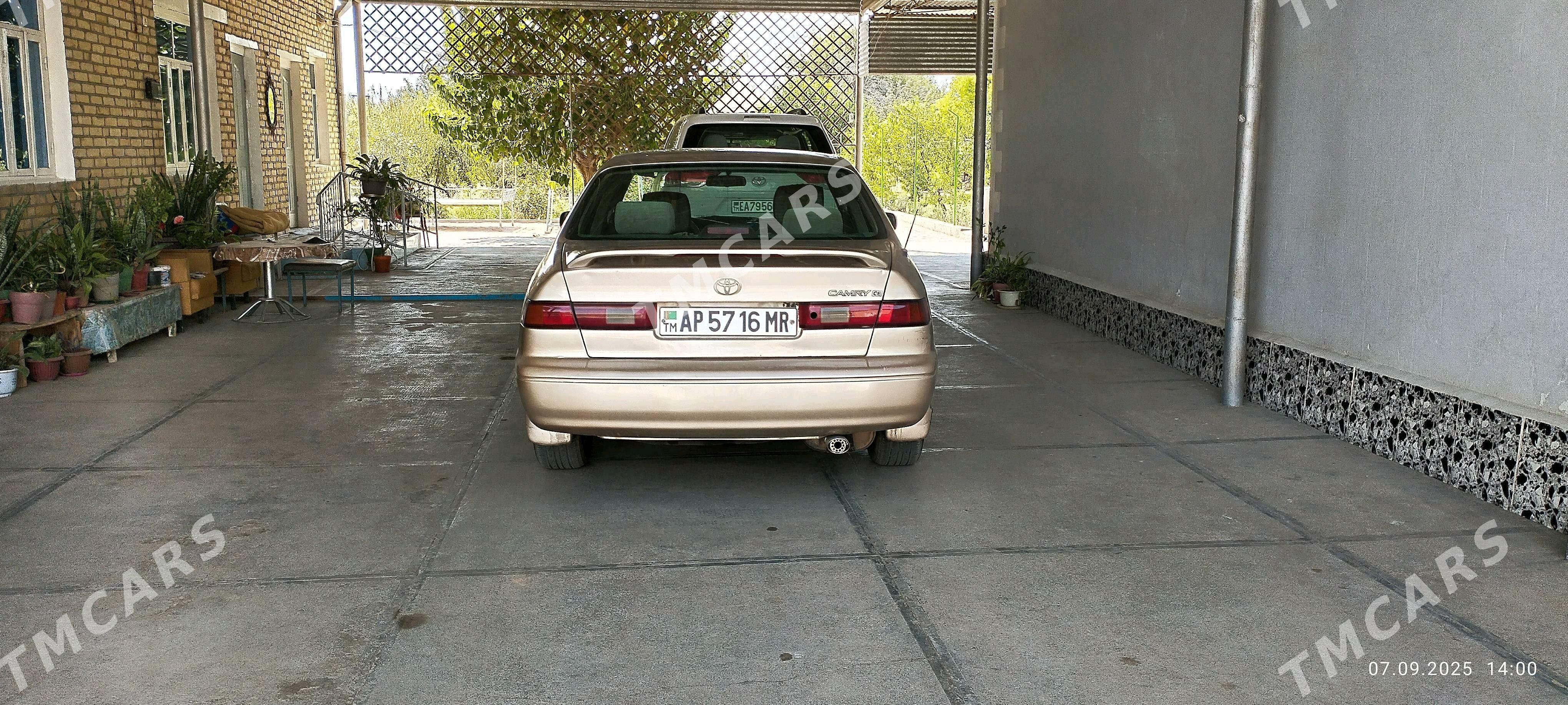 Toyota Camry 1999 - 106 000 TMT - Байрамали - img 3
