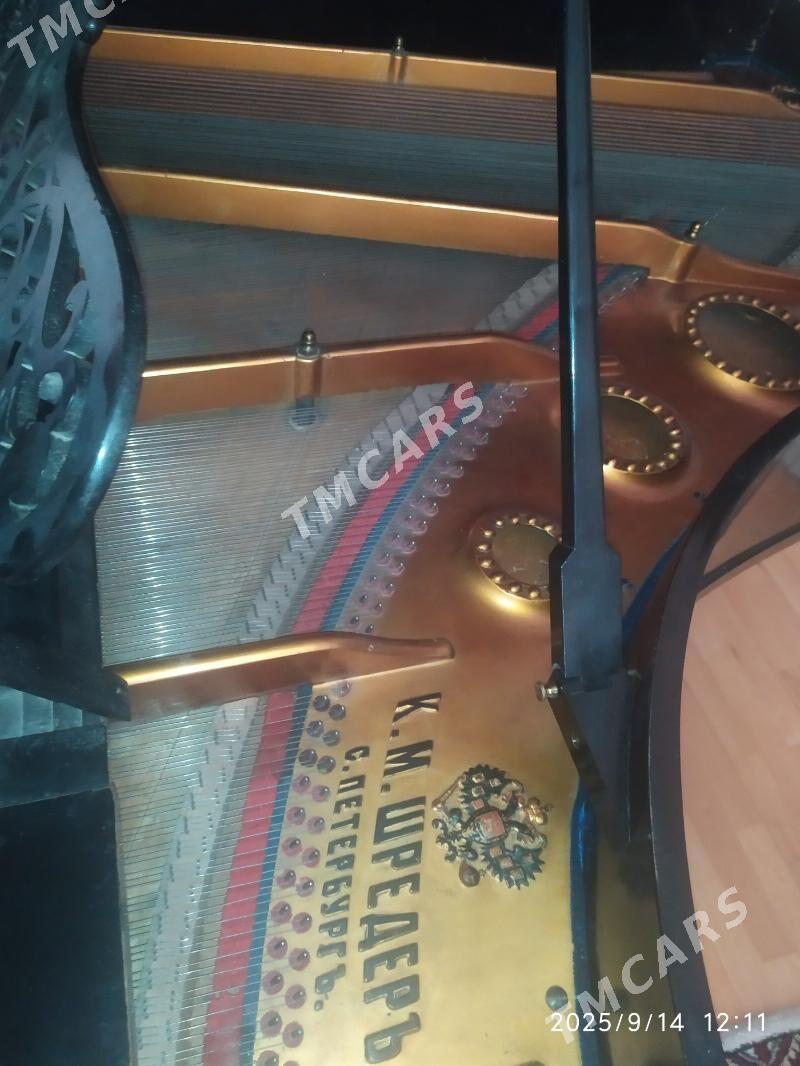 royal - Aşgabat - img 3
