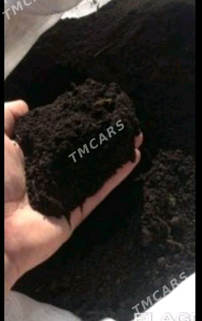 ders cage toprak  sement mity - Ашхабад - img 4