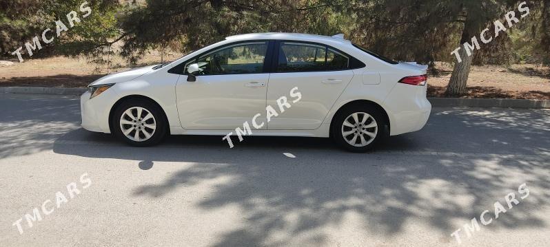 Toyota Corolla 2020 - 200 000 TMT - Gökdepe - img 3