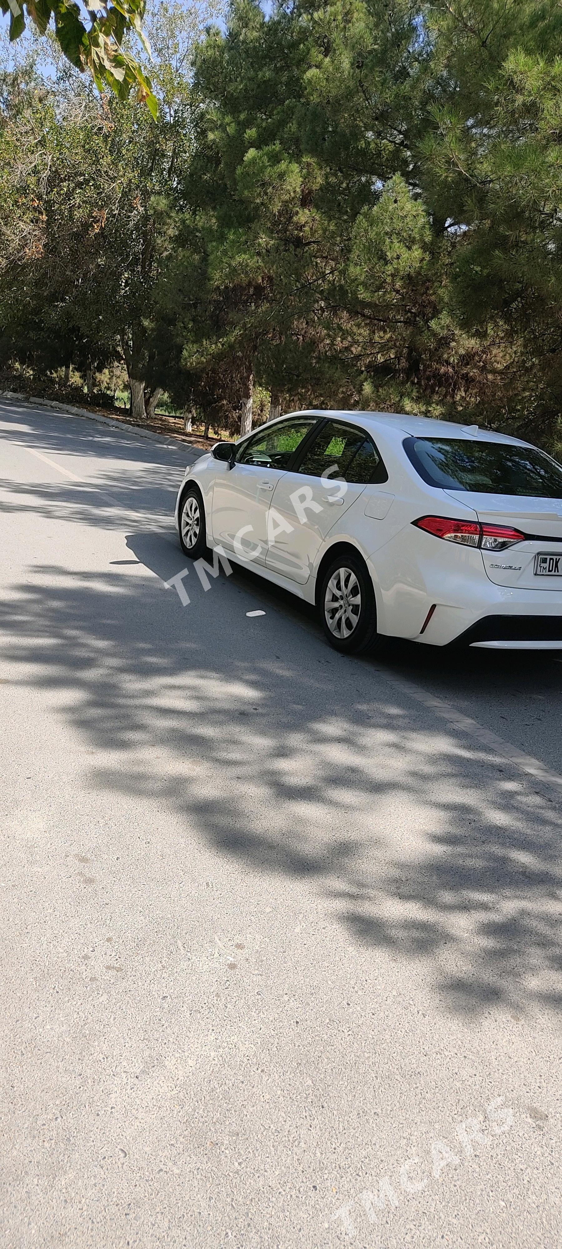 Toyota Corolla 2020 - 200 000 TMT - Gökdepe - img 7