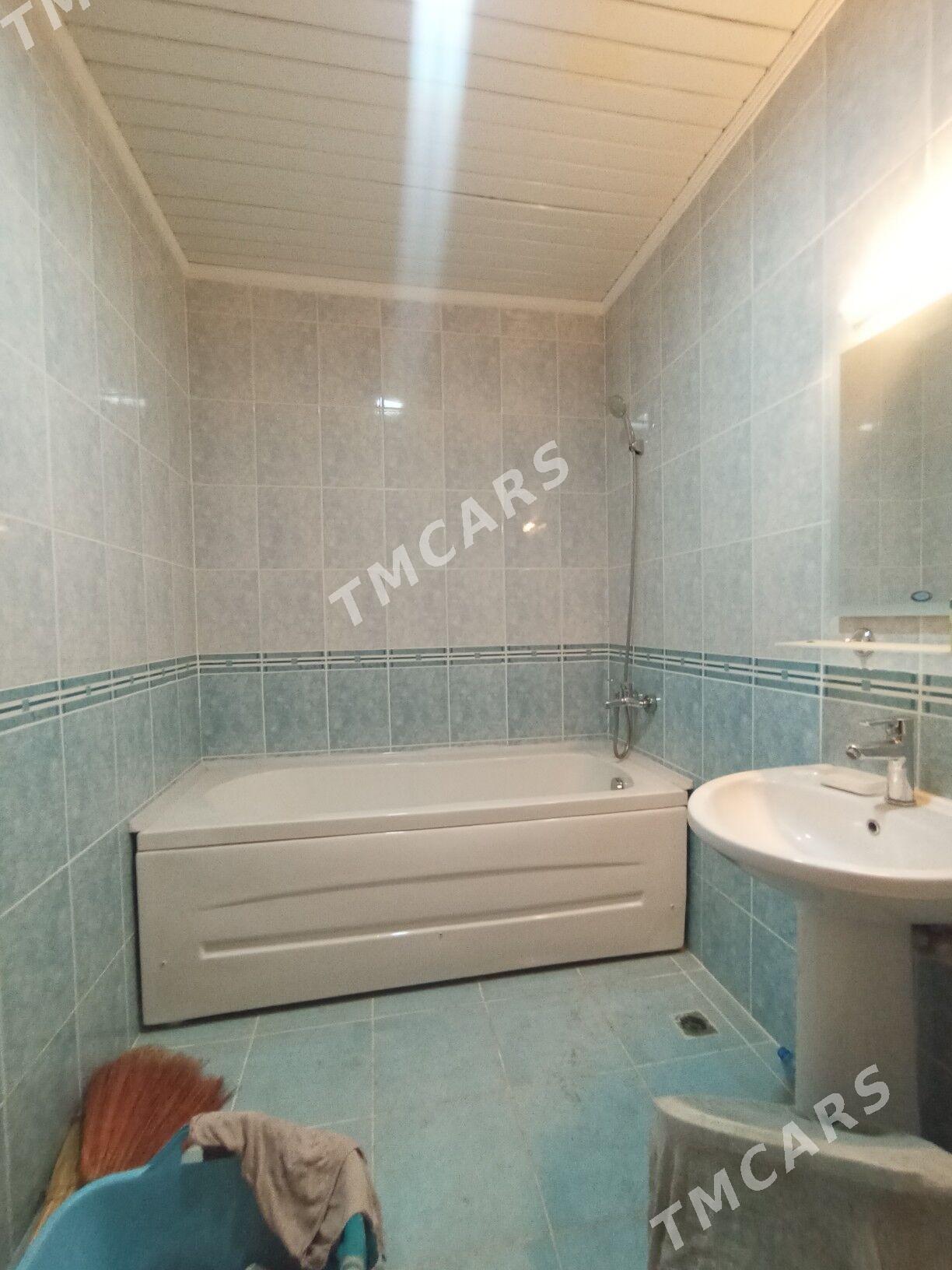 Taslma kőşi - Köşi - img 2