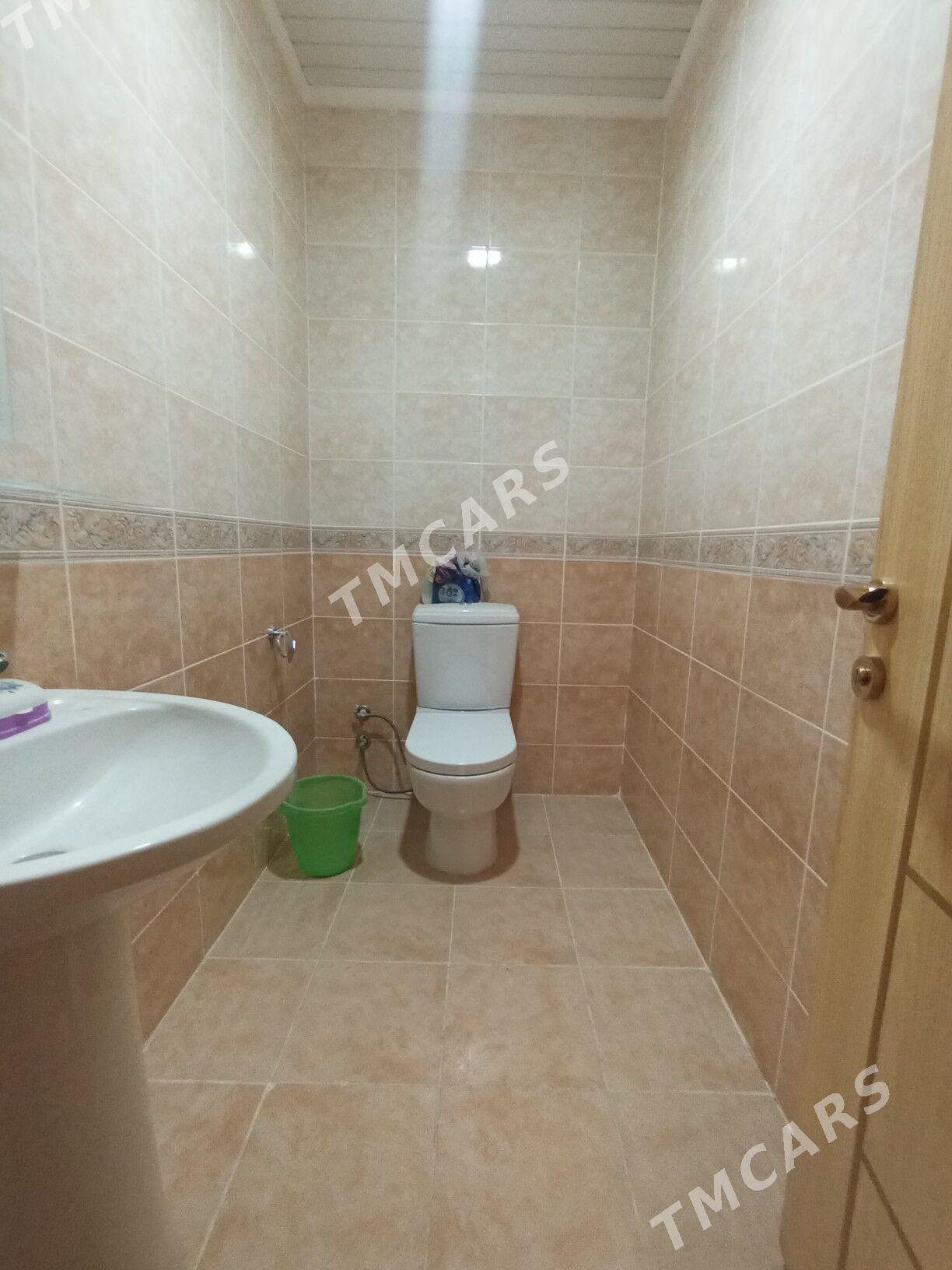Taslma kőşi - Köşi - img 3