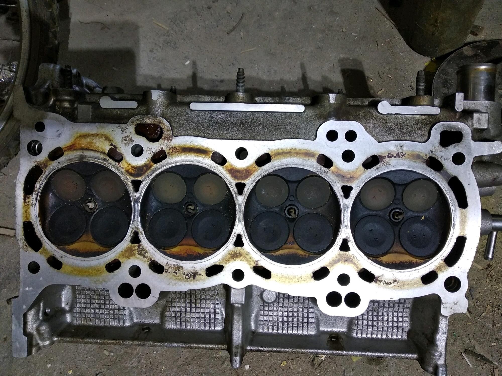 golowka головка palta 2,5 mtr 1 600 TMT - Анев - img 4