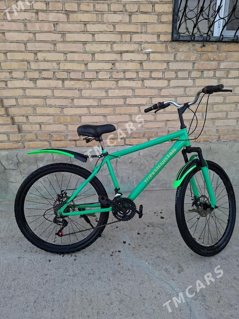 Turkmenistan tigir - Çoganly - img 2