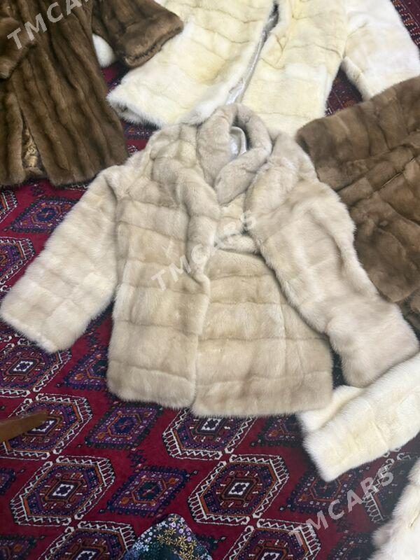 norka subalar - Aşgabat - img 2