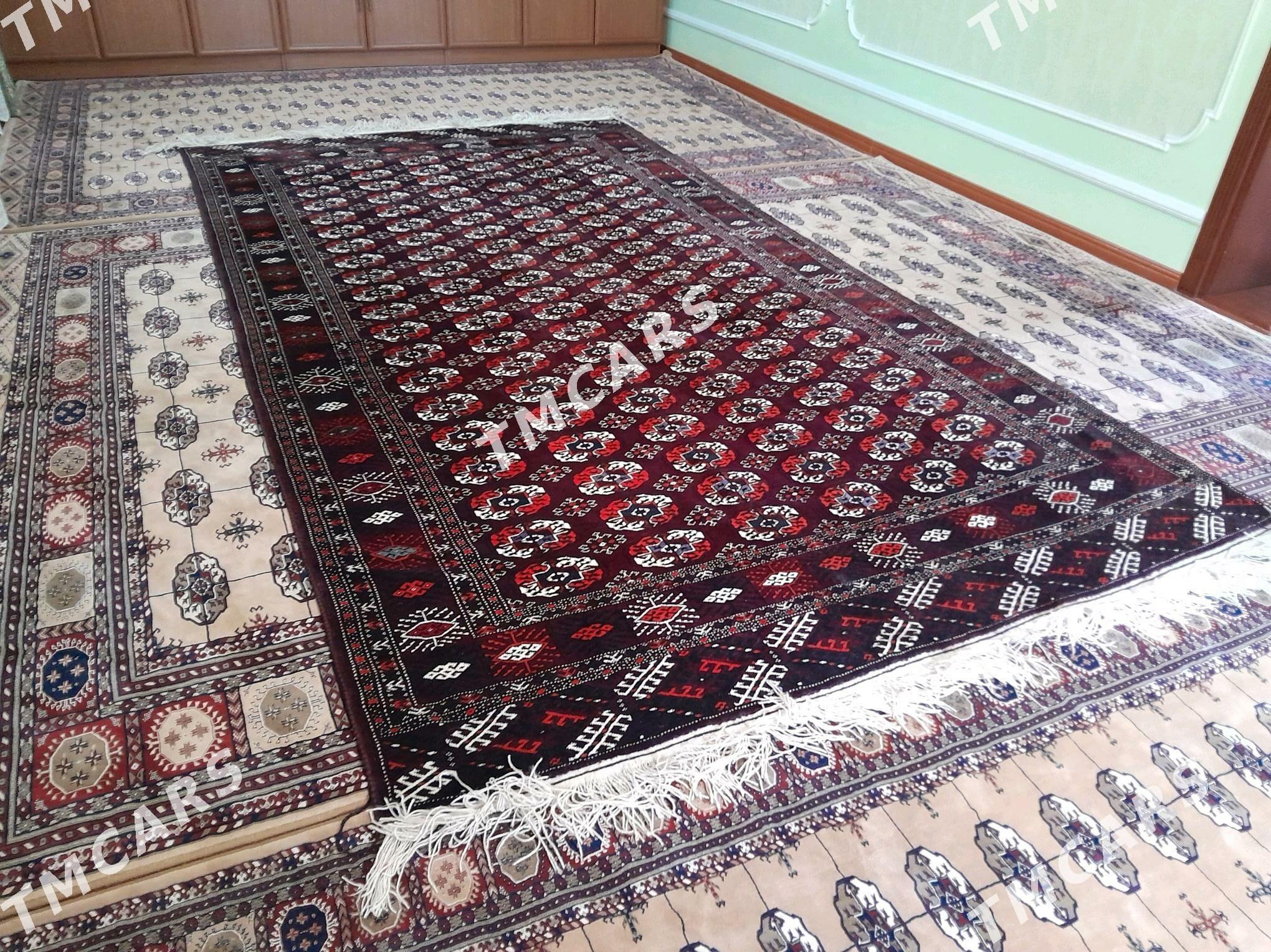 gara el haly - Türkmenbaşy - img 5