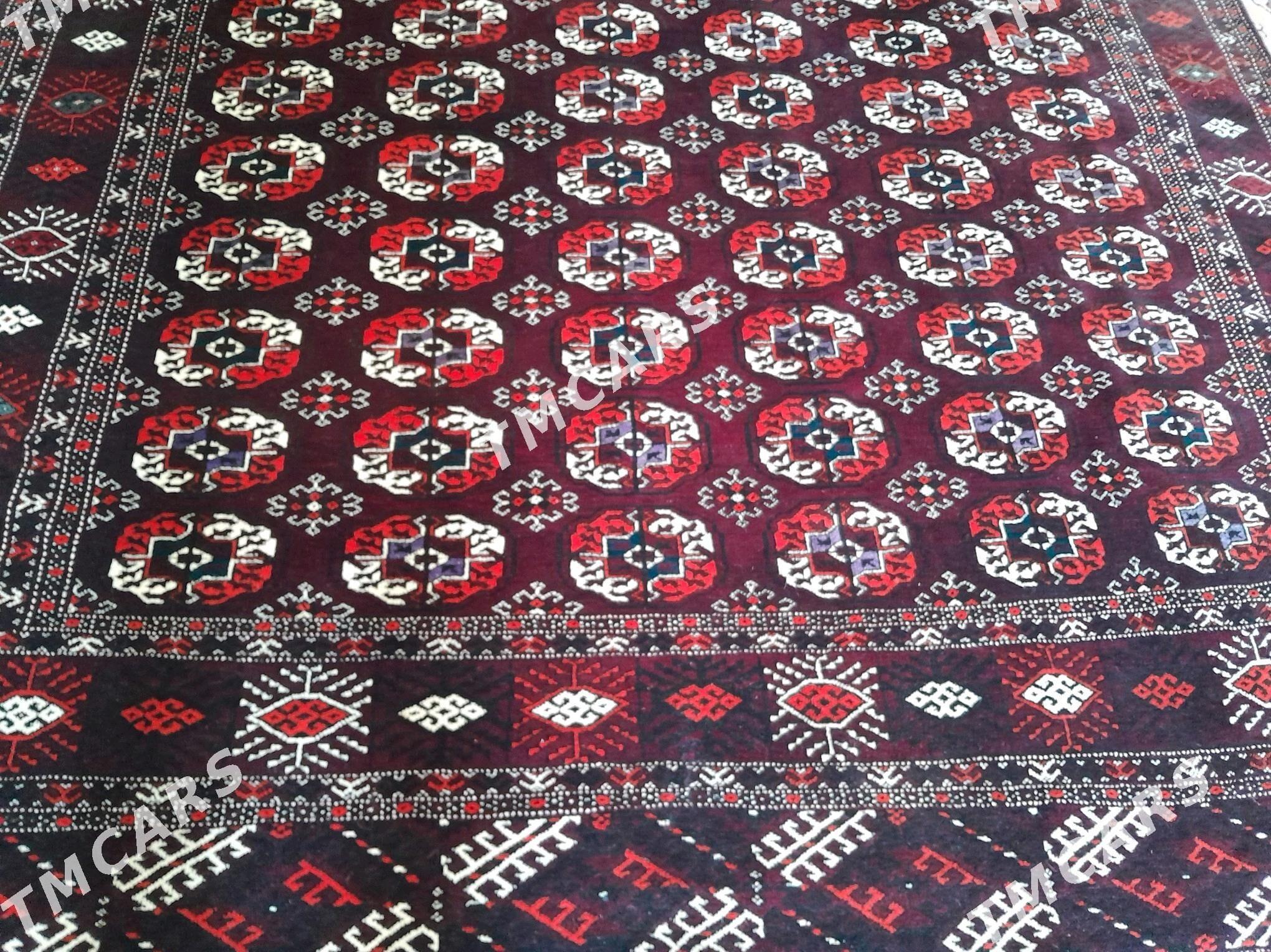 gara el haly - Türkmenbaşy - img 2