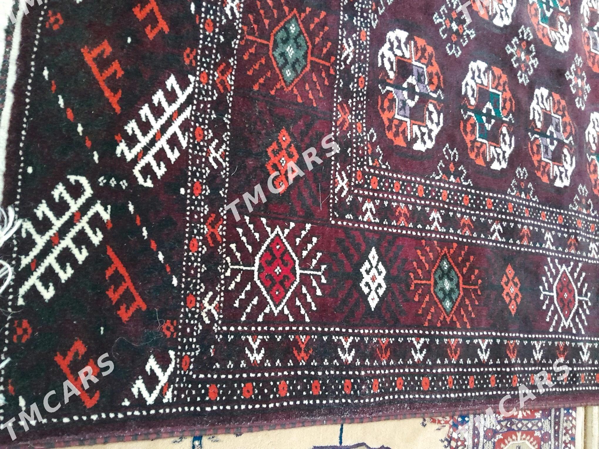 gara el haly - Türkmenbaşy - img 4