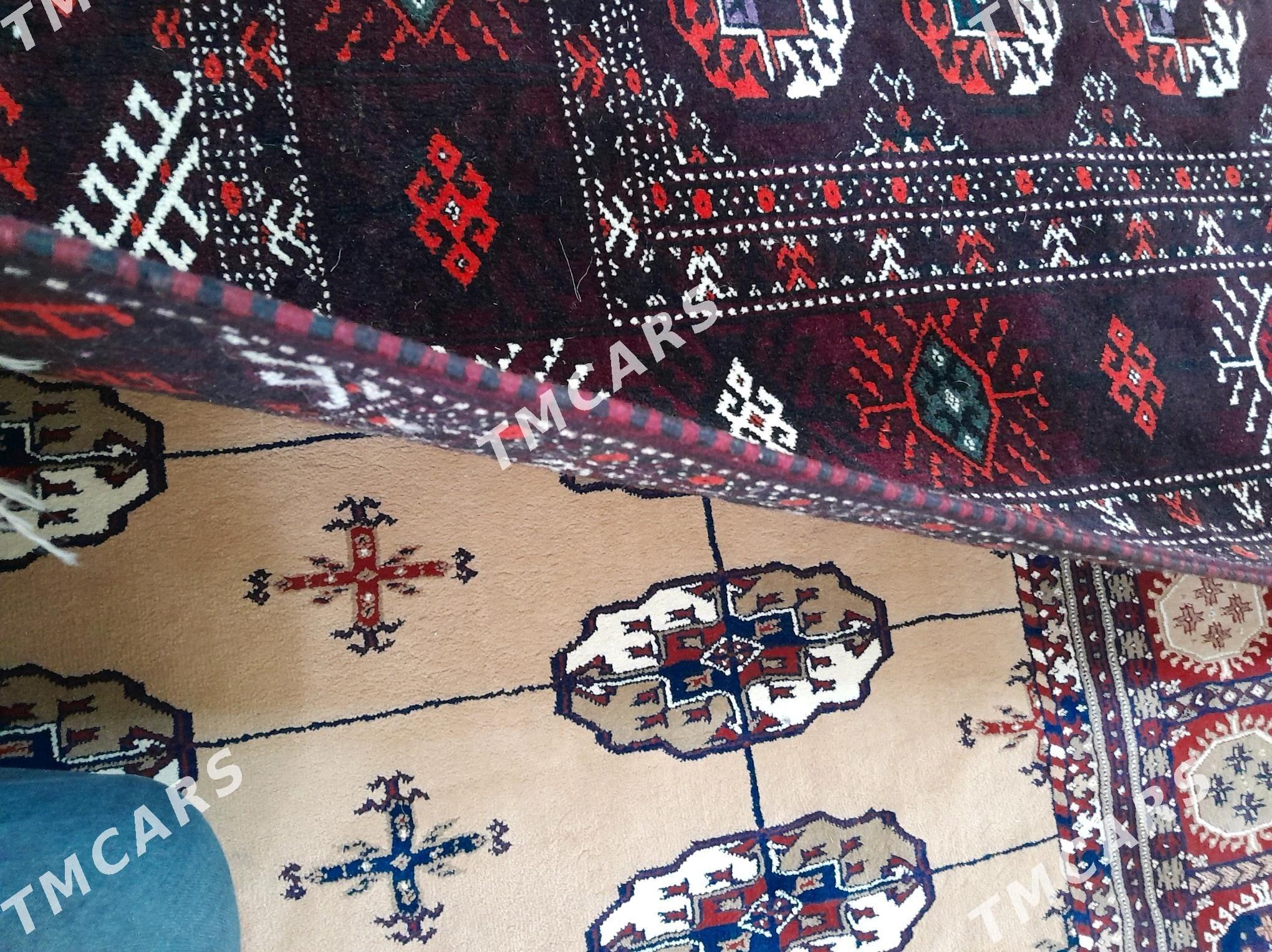 gara el haly - Türkmenbaşy - img 3