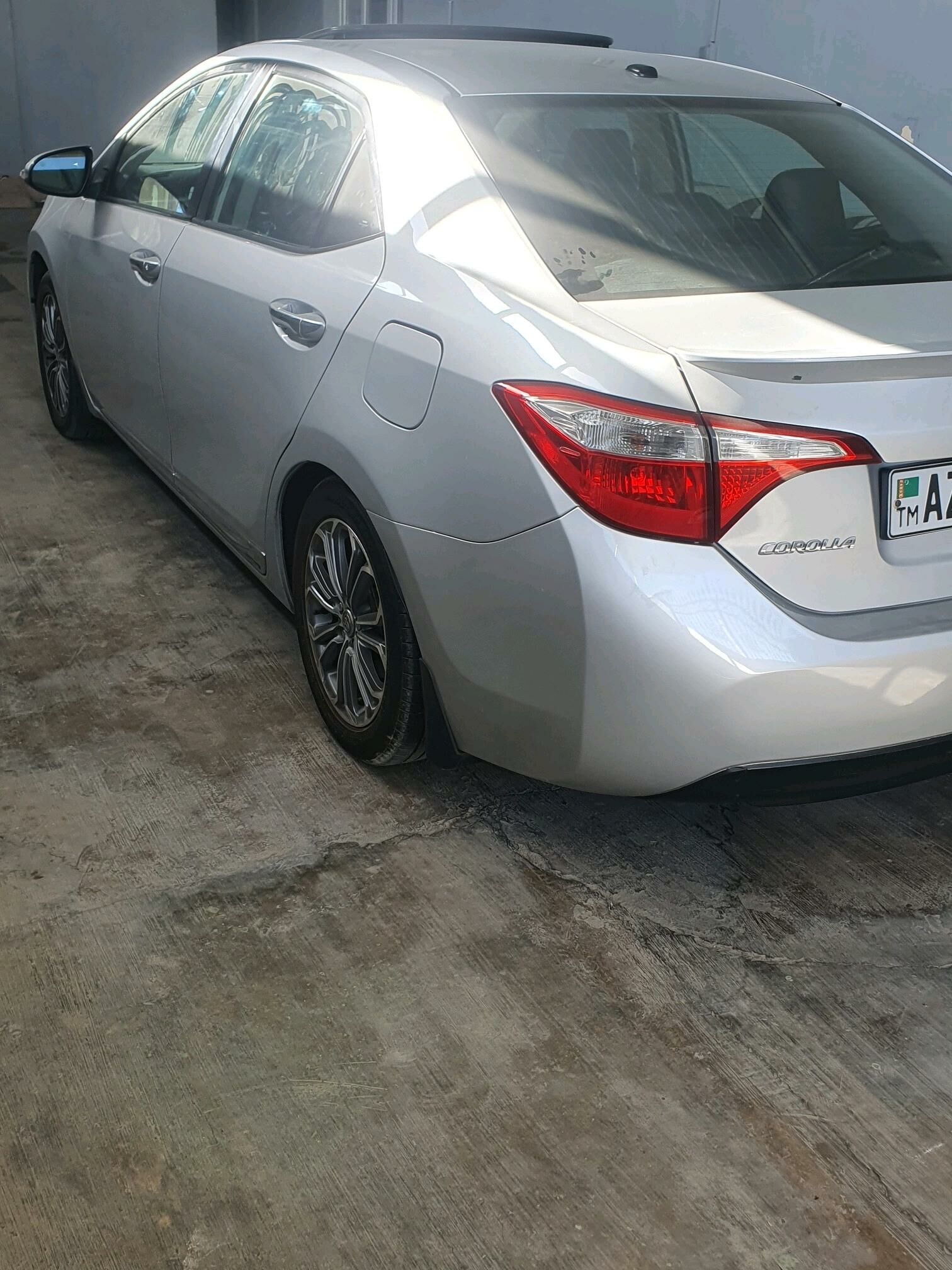 Tokly Cykyan Setga 2 300 TMT - Aşgabat - img 2