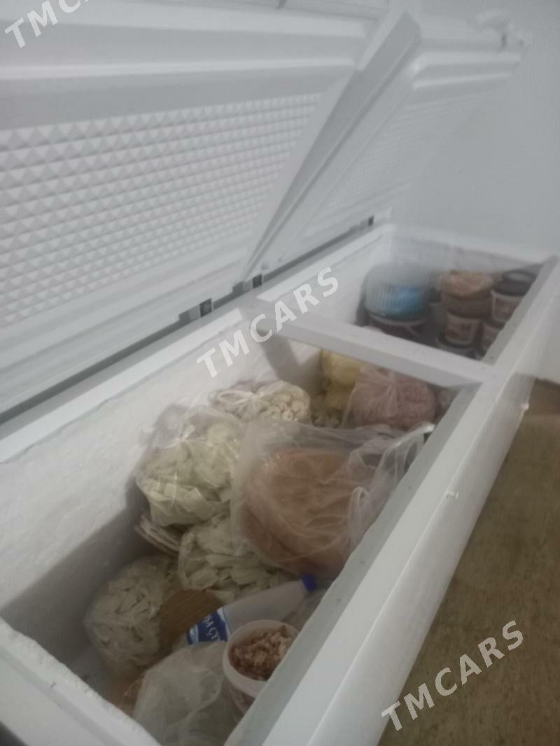 morozilnik 750 litr - Türkmenabat - img 2