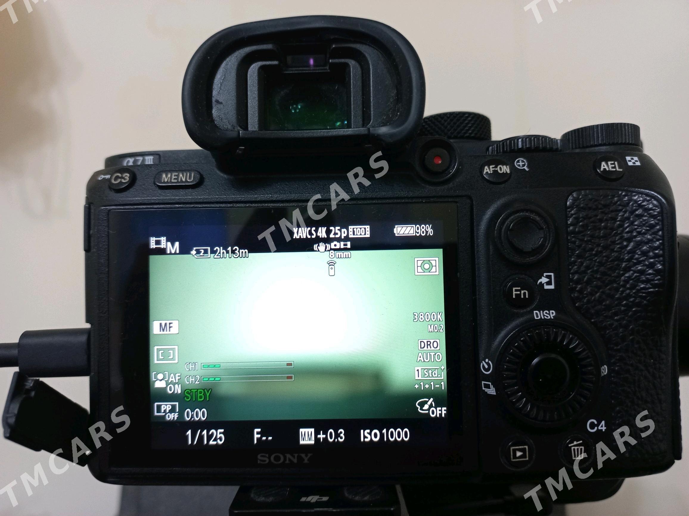 Sony A7 lll    Ronin sc - Туркменбаши - img 8