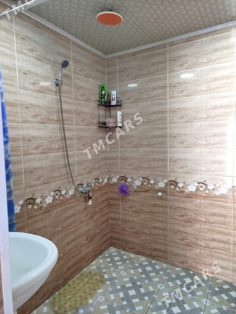 Amyderýa koche - Кёнеургенч - img 1