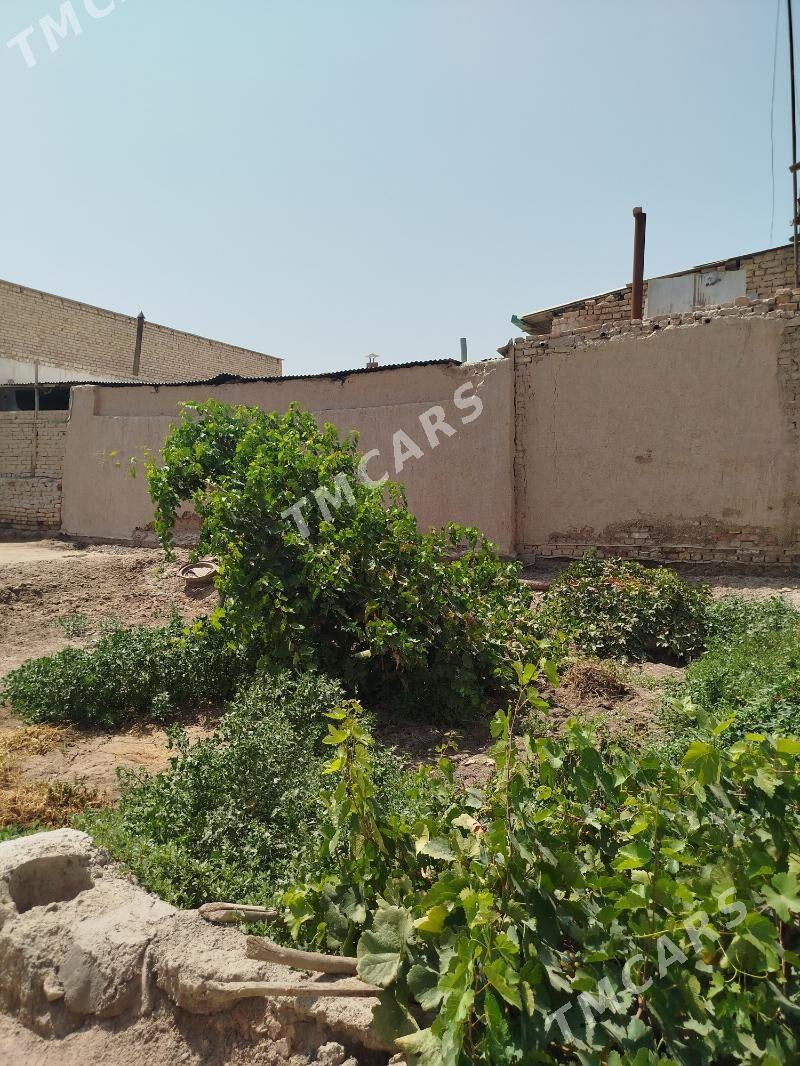 Amyderýa koche - Кёнеургенч - img 5